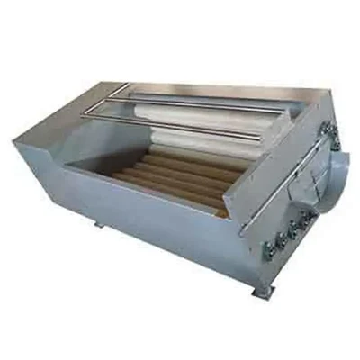 Commercial Automatic Ginger Washing and Peeling Machine